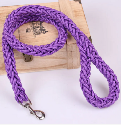 Pet Leash | Nylon