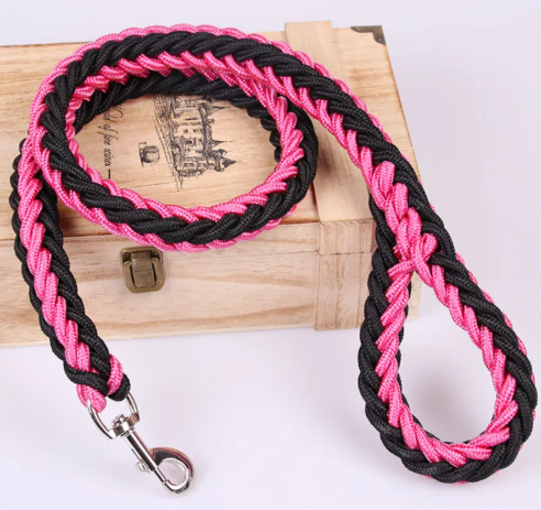 Pet Leash | Nylon