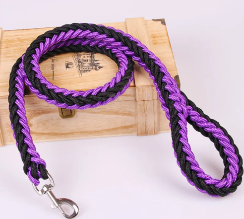 Pet Leash | Nylon