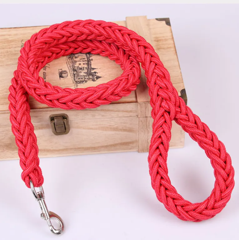 Pet Leash | Nylon
