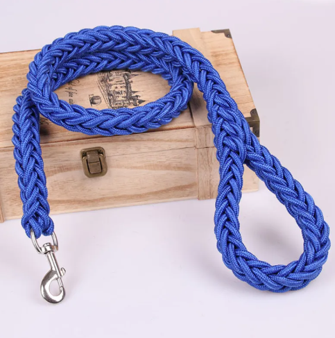 Pet Leash | Nylon